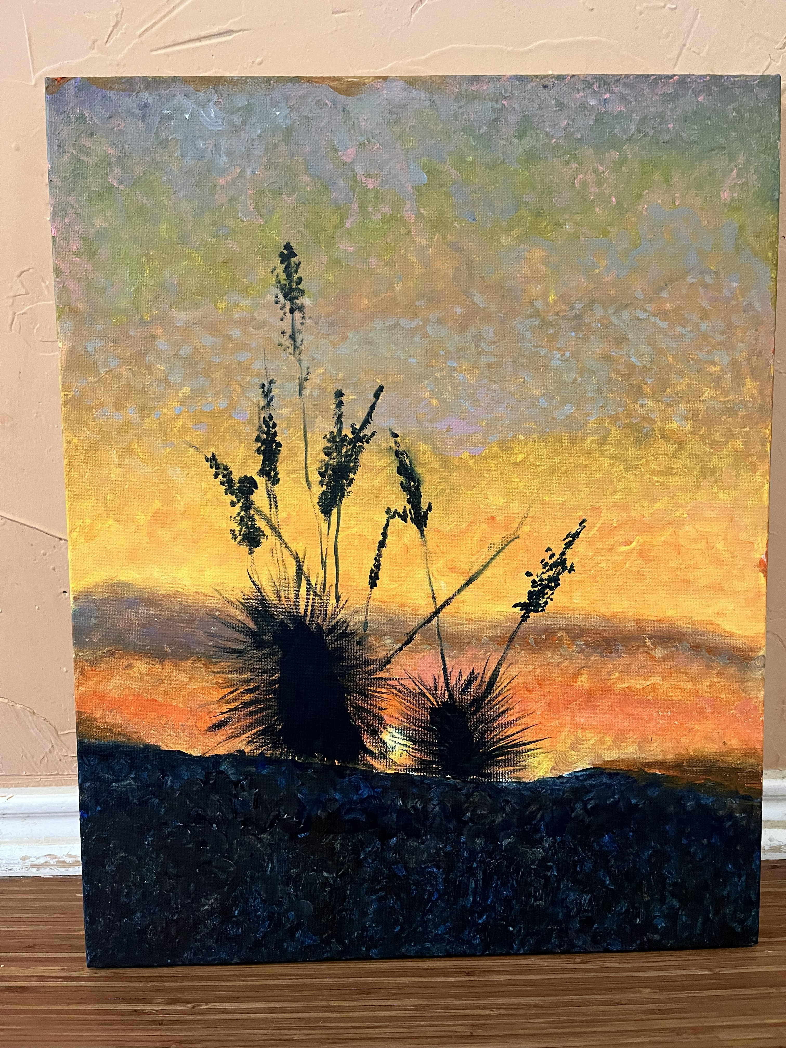 A sunset behind some yucca plants